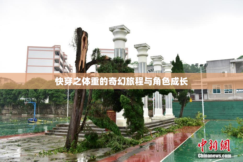 快穿之体重的奇幻旅程与角色成长
