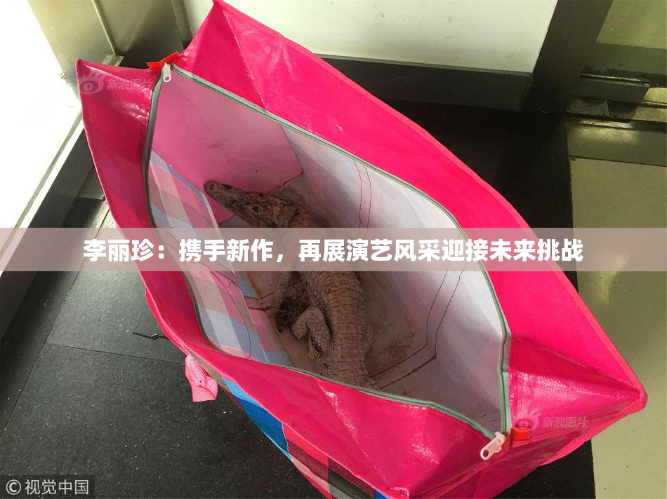 李丽珍：携手新作，再展演艺风采迎接未来挑战