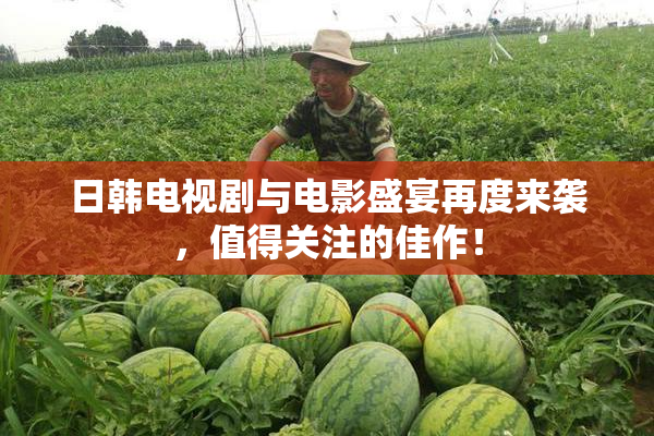 日韩电视剧与电影盛宴再度来袭，值得关注的佳作！