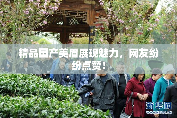 精品国产美眉展现魅力，网友纷纷点赞！