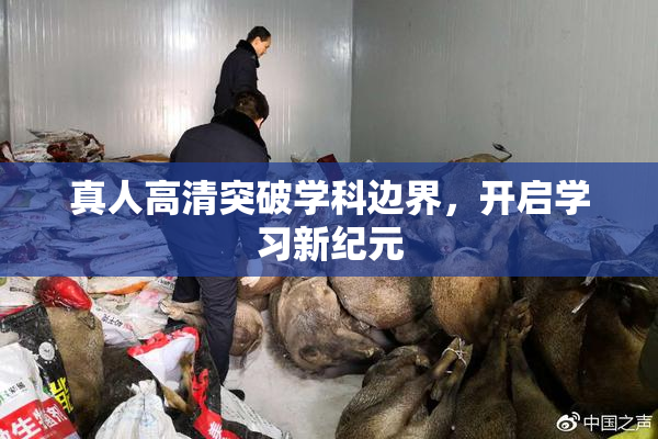 真人高清突破学科边界，开启学习新纪元