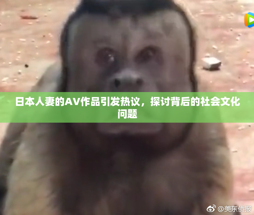 日本人妻的AV作品引发热议，探讨背后的社会文化问题