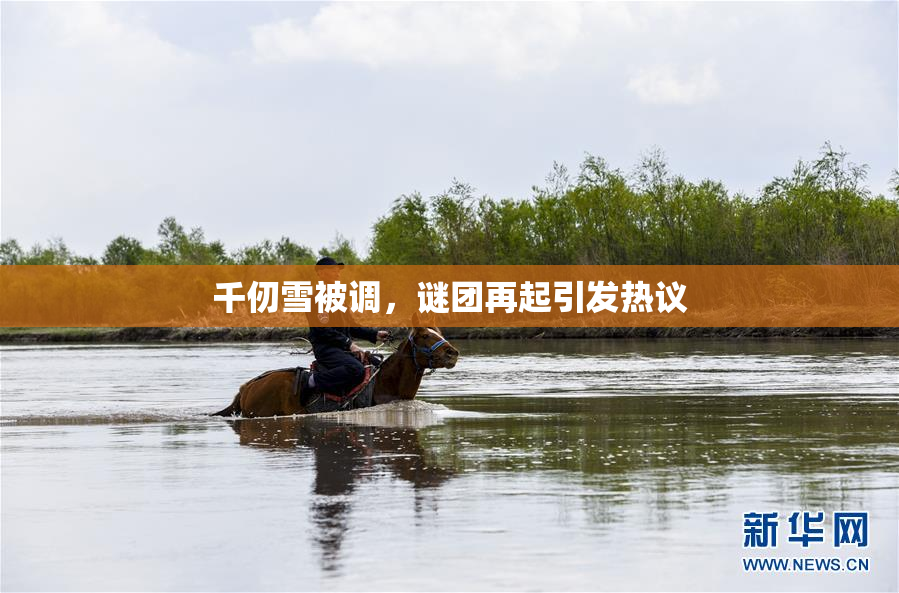 千仞雪被调，谜团再起引发热议