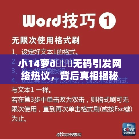 小14萝🔞无码引发网络热议，背后真相揭秘