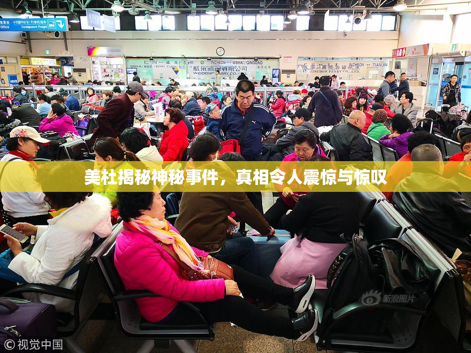 美杜揭秘神秘事件，真相令人震惊与惊叹