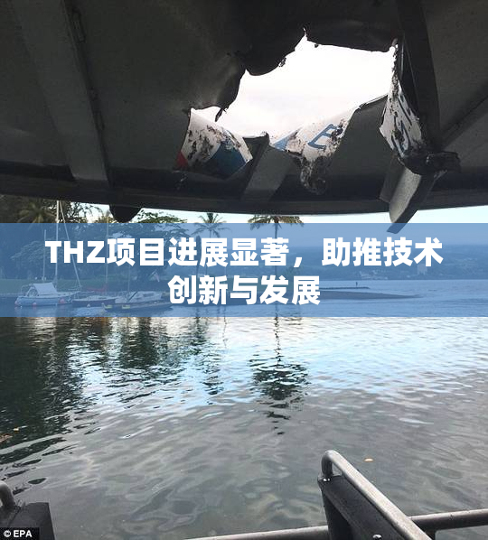 THZ项目进展显著，助推技术创新与发展