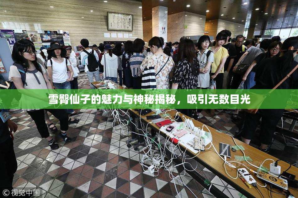 雪臀仙子的魅力与神秘揭秘，吸引无数目光