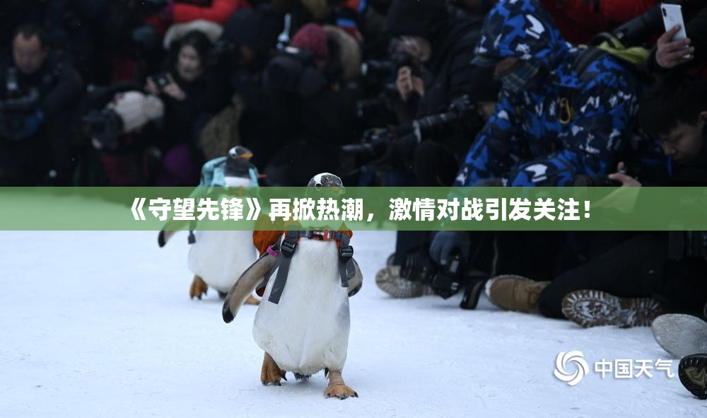《守望先锋》再掀热潮，激情对战引发关注！