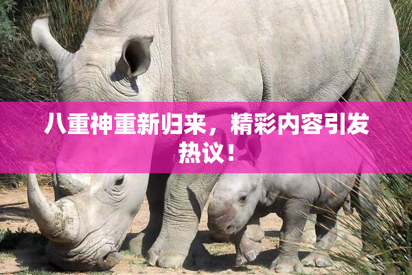 八重神重新归来，精彩内容引发热议！