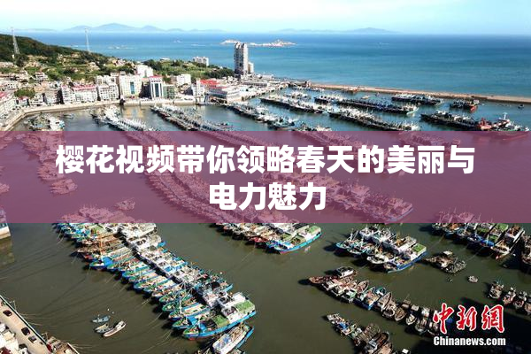 樱花视频带你领略春天的美丽与电力魅力