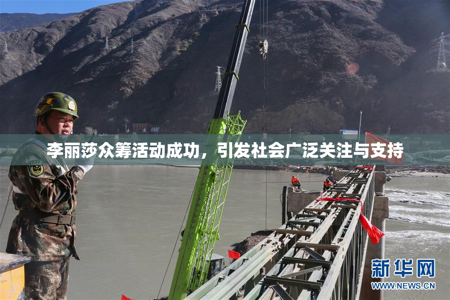 李丽莎众筹活动成功，引发社会广泛关注与支持