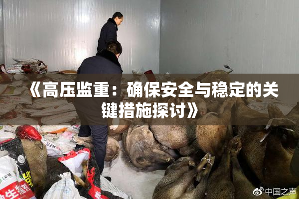 《高压监重：确保安全与稳定的关键措施探讨》