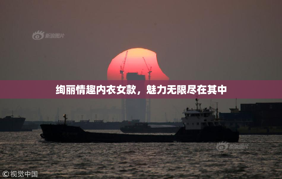 绚丽情趣内衣女款，魅力无限尽在其中