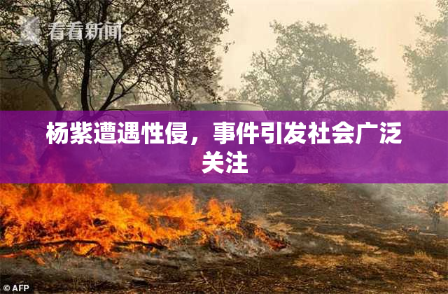 杨紫遭遇性侵，事件引发社会广泛关注
