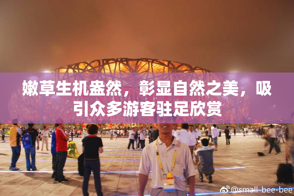 嫩草生机盎然，彰显自然之美，吸引众多游客驻足欣赏