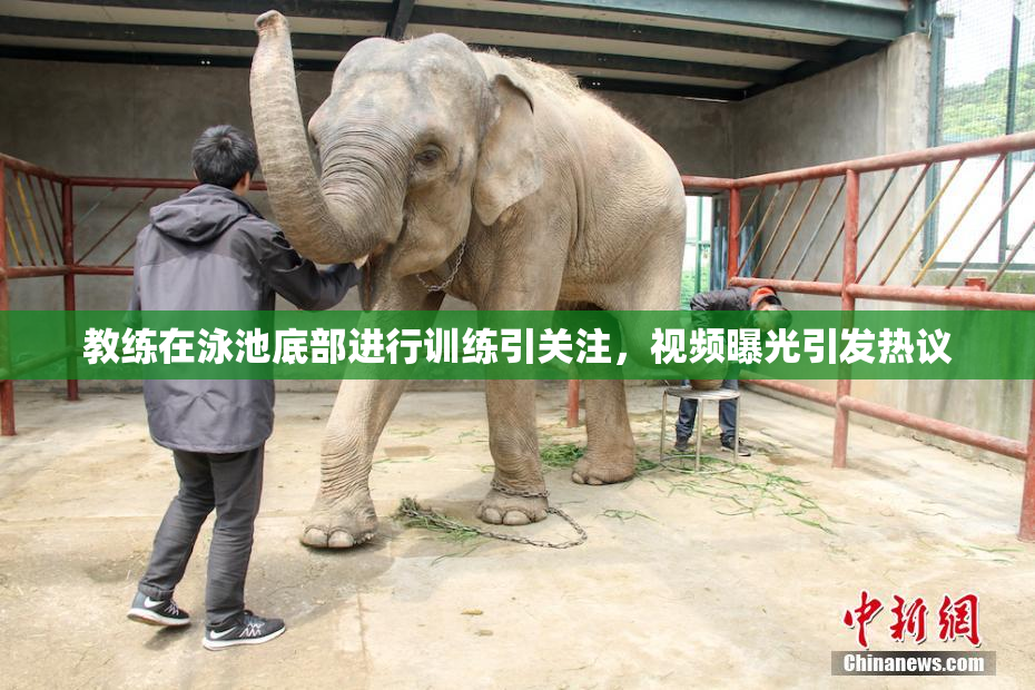 教练在泳池底部进行训练引关注，视频曝光引发热议