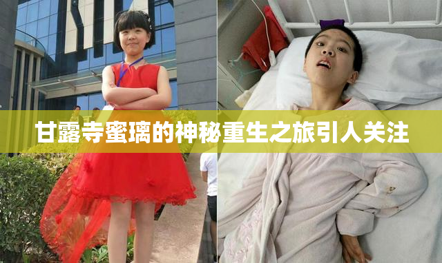 甘露寺蜜璃的神秘重生之旅引人关注