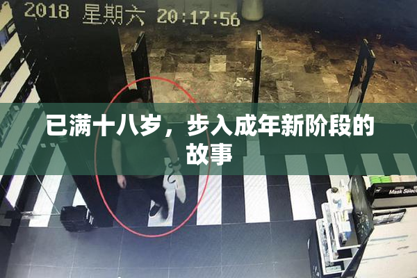 已满十八岁，步入成年新阶段的故事