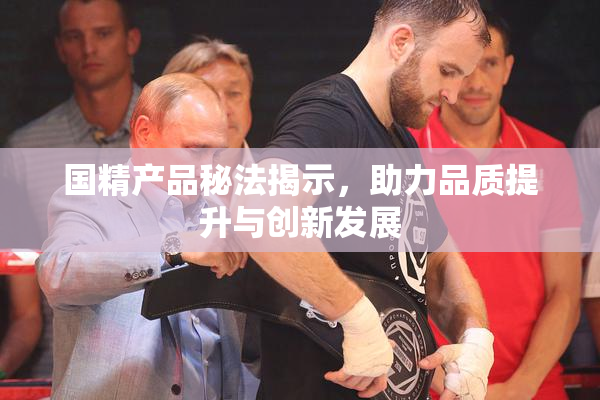 国精产品秘法揭示，助力品质提升与创新发展