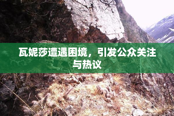 瓦妮莎遭遇困境，引发公众关注与热议