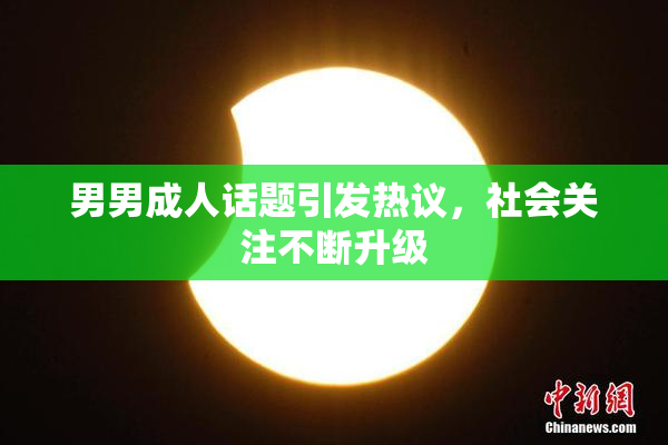 男男成人话题引发热议，社会关注不断升级