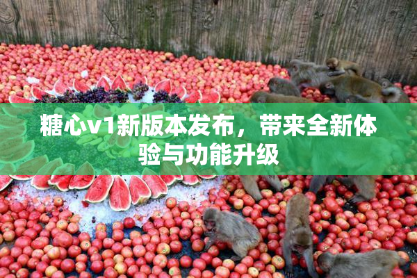 糖心v1新版本发布，带来全新体验与功能升级
