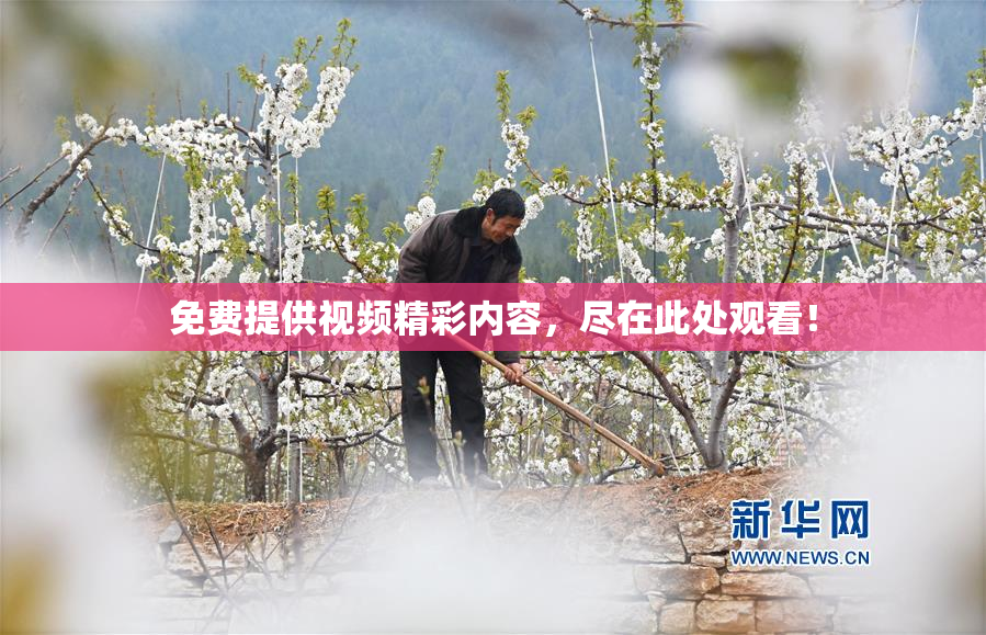 免费提供视频精彩内容，尽在此处观看！