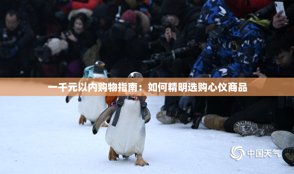 一千元以内购物指南：如何精明选购心仪商品