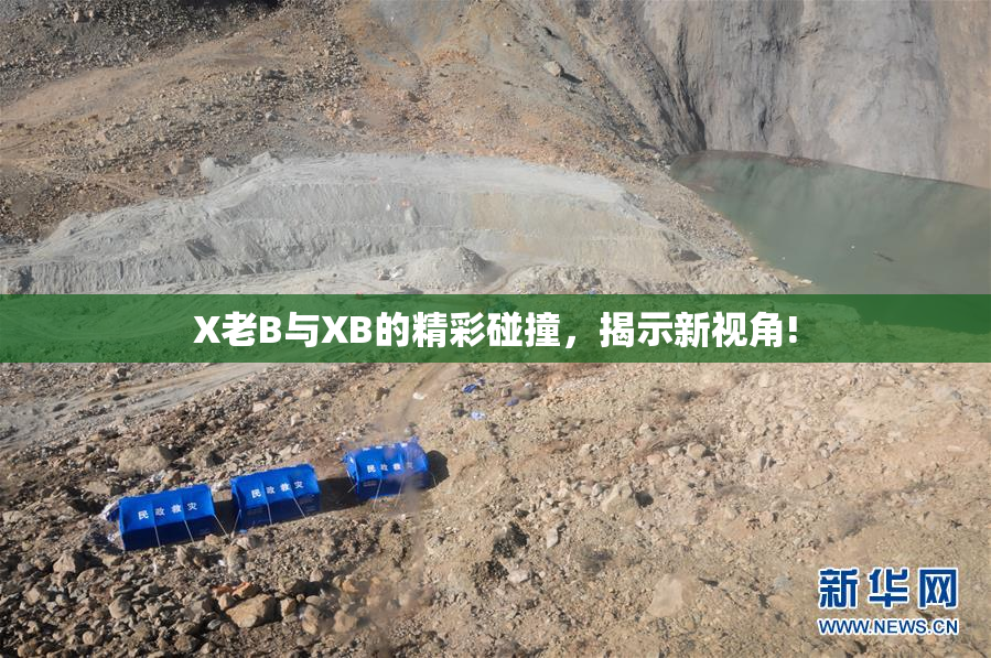X老B与XB的精彩碰撞，揭示新视角!