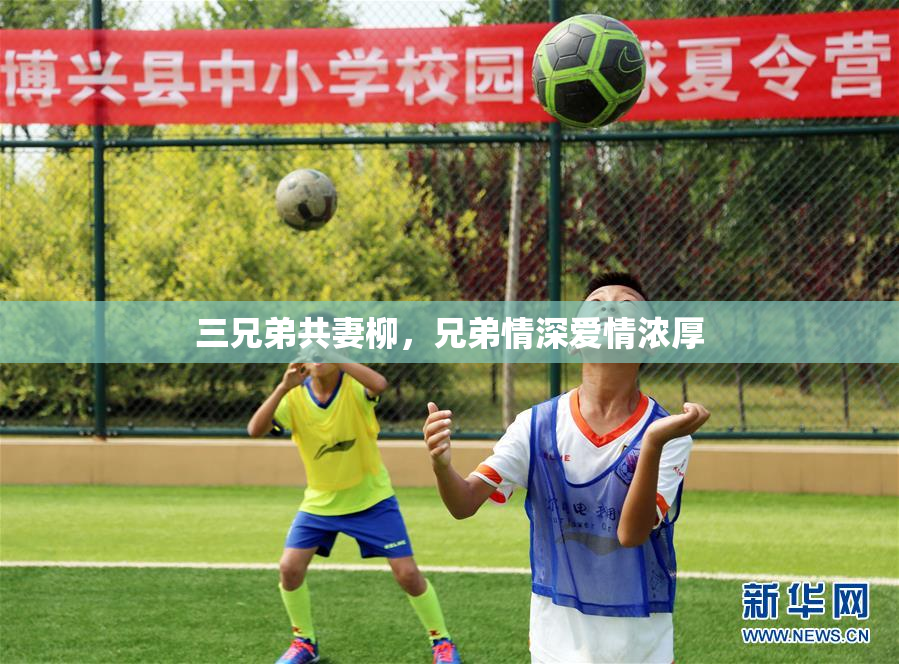 三兄弟共妻柳，兄弟情深爱情浓厚