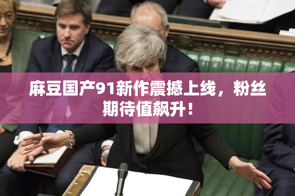 麻豆国产91新作震撼上线，粉丝期待值飙升！