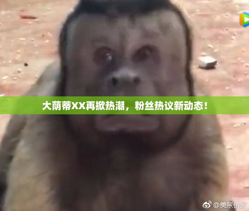 大荫蒂XX再掀热潮，粉丝热议新动态！