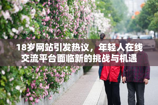 18岁网站引发热议，年轻人在线交流平台面临新的挑战与机遇