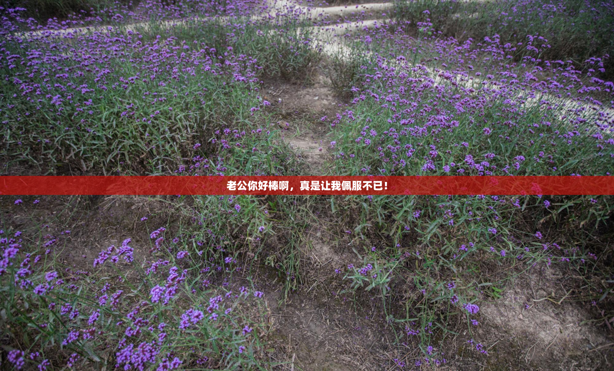 老公你好棒啊，真是让我佩服不已！