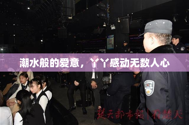 潮水般的爱意，丫丫感动无数人心