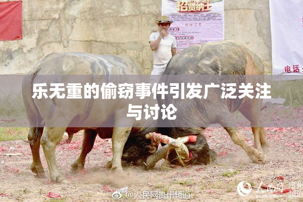 乐无重的偷窃事件引发广泛关注与讨论