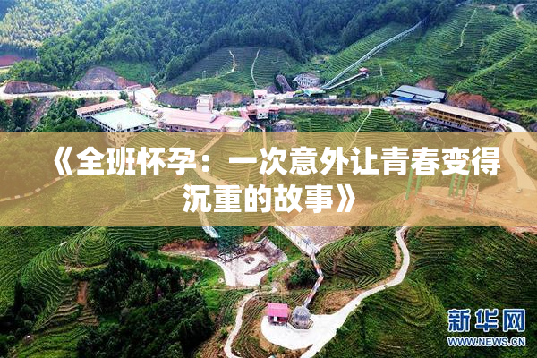 《全班怀孕：一次意外让青春变得沉重的故事》
