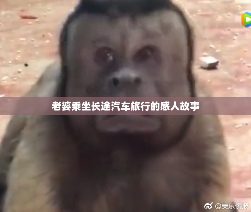 老婆乘坐长途汽车旅行的感人故事