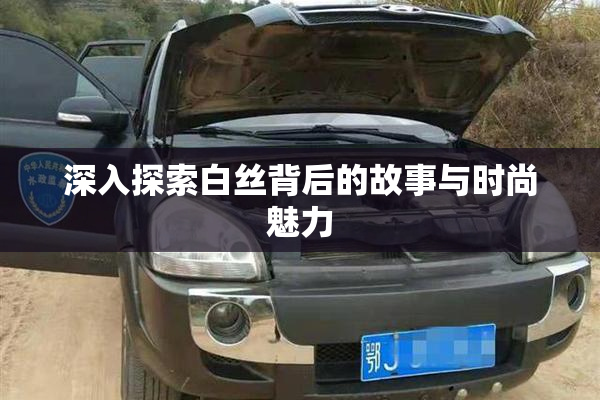 深入探索白丝背后的故事与时尚魅力