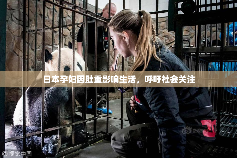 日本孕妇因肚重影响生活，呼吁社会关注