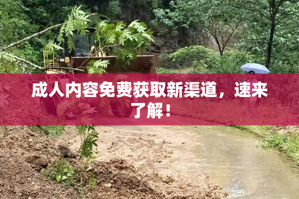 成人内容免费获取新渠道，速来了解！