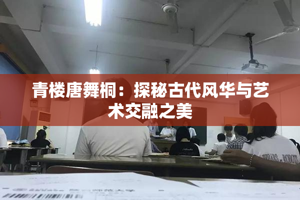 青楼唐舞桐：探秘古代风华与艺术交融之美