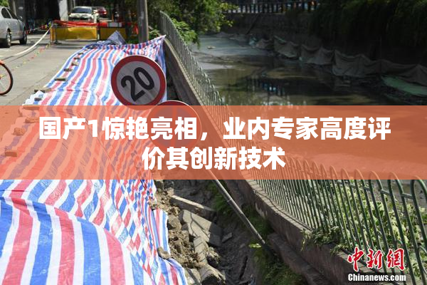 国产1惊艳亮相，业内专家高度评价其创新技术