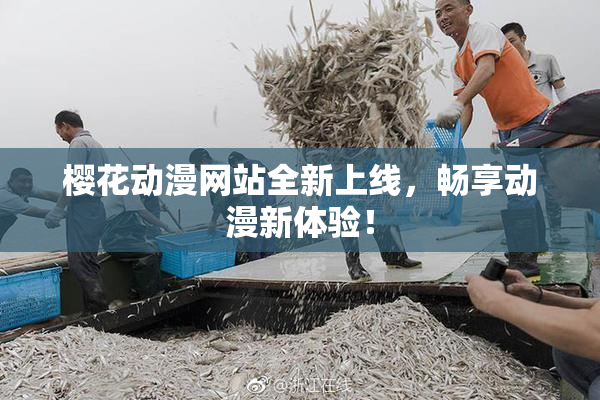 樱花动漫网站全新上线，畅享动漫新体验！