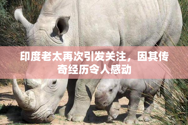 印度老太再次引发关注，因其传奇经历令人感动
