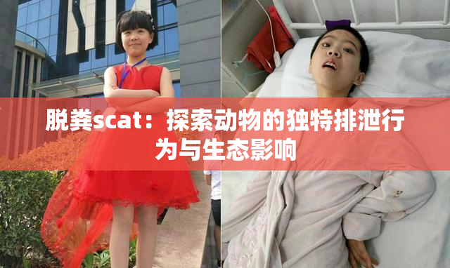 脱粪scat：探索动物的独特排泄行为与生态影响