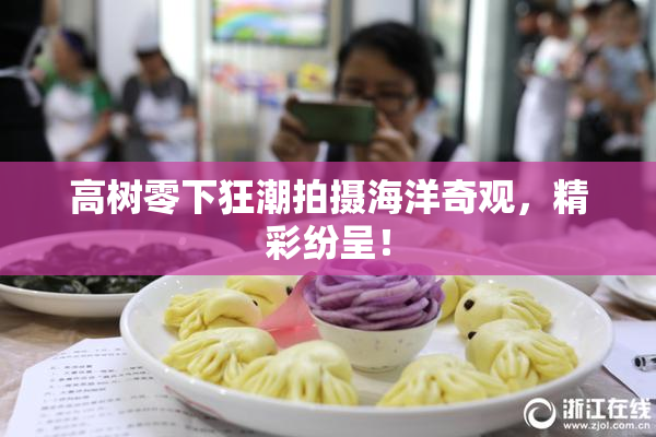 高树零下狂潮拍摄海洋奇观，精彩纷呈！