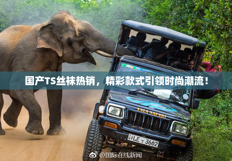 国产TS丝袜热销，精彩款式引领时尚潮流！