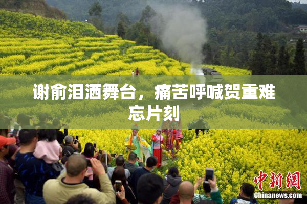 谢俞泪洒舞台，痛苦呼喊贺重难忘片刻
