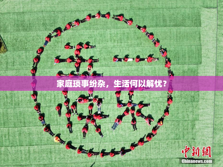 家庭琐事纷杂，生活何以解忧？